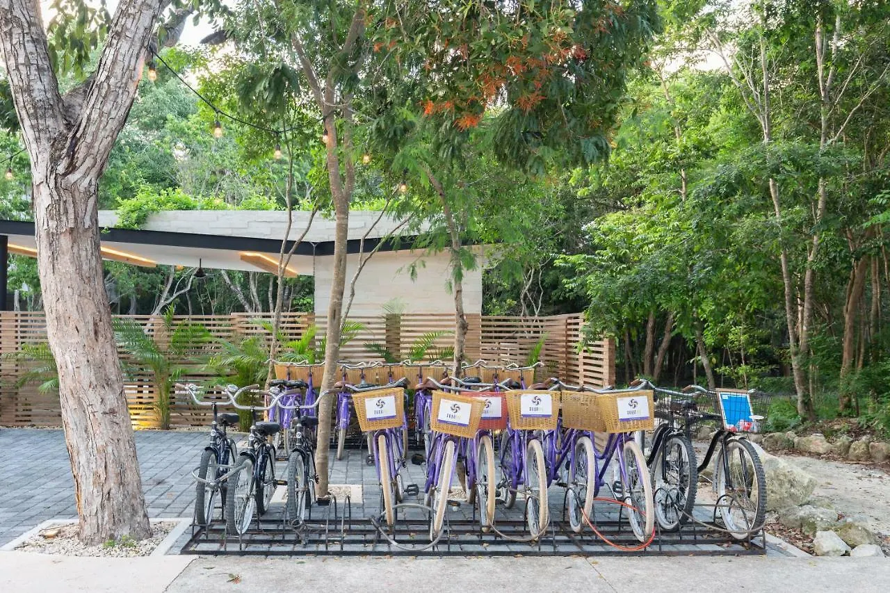 Attha Cenote Luxury Condo Tulum Aparthotel